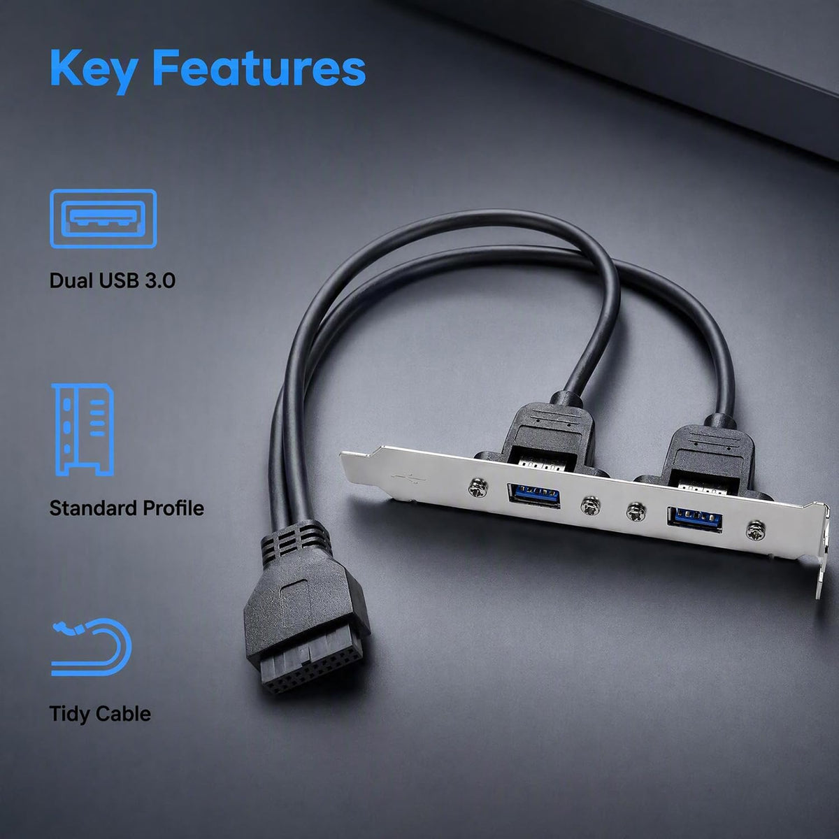 USB 3.0 19 Pin to Dual USB 3.0 A Female Panel Cable, 30cm,Black